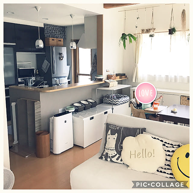 yuki0511さんの実例写真