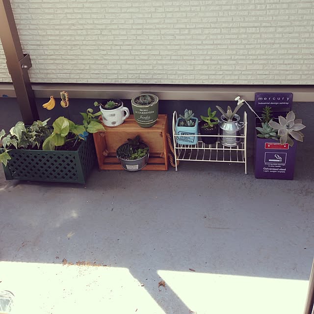 haruさんの実例写真