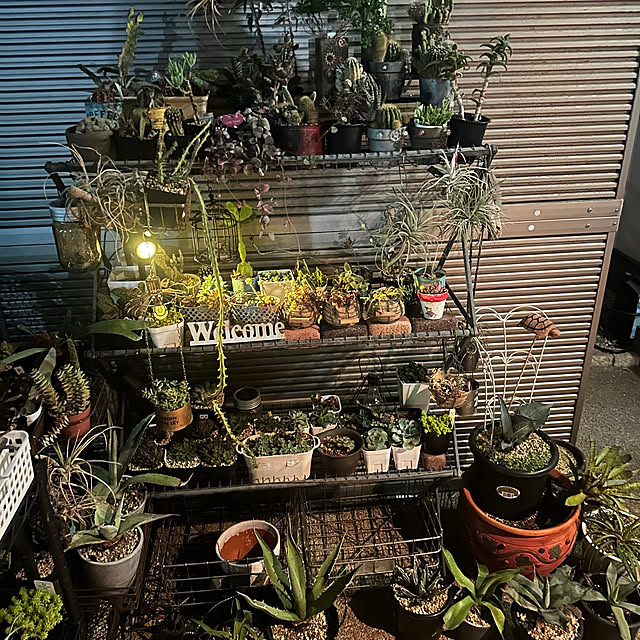 yaiyai38さんの部屋