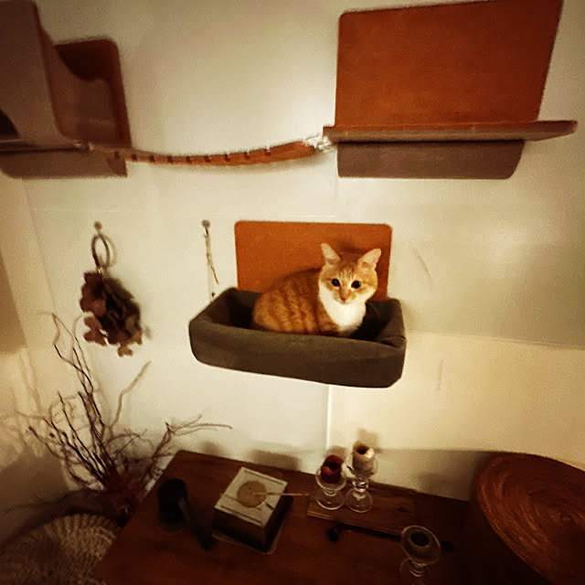 lemonadeさんの部屋