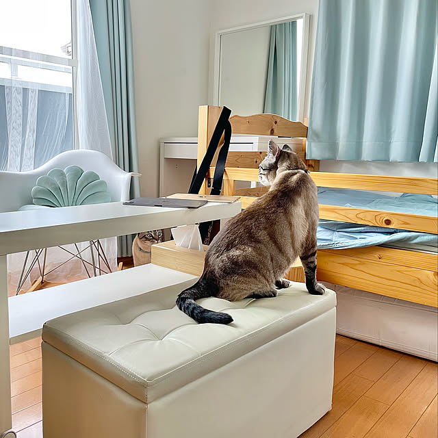 chieさんの実例写真