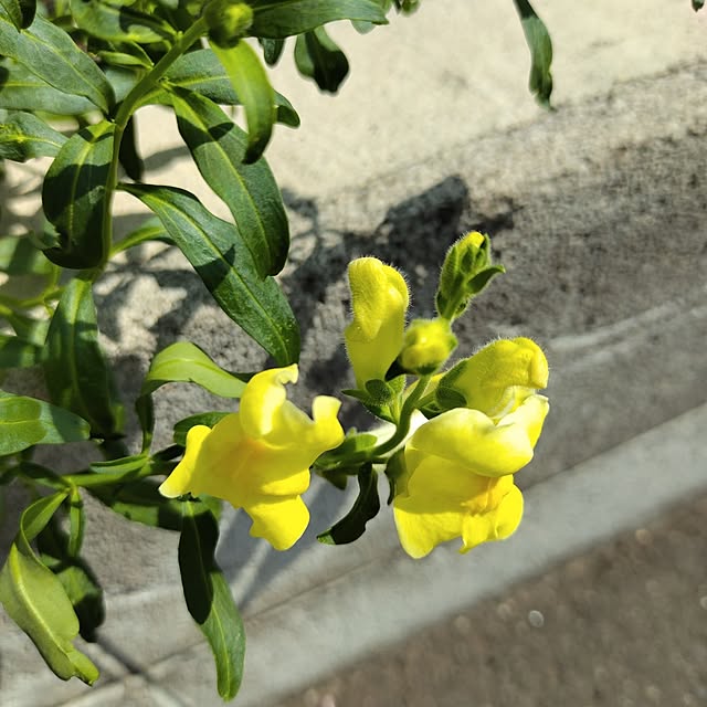 kiraさんの部屋