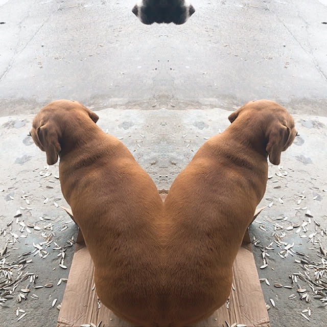 854140216さんの実例写真