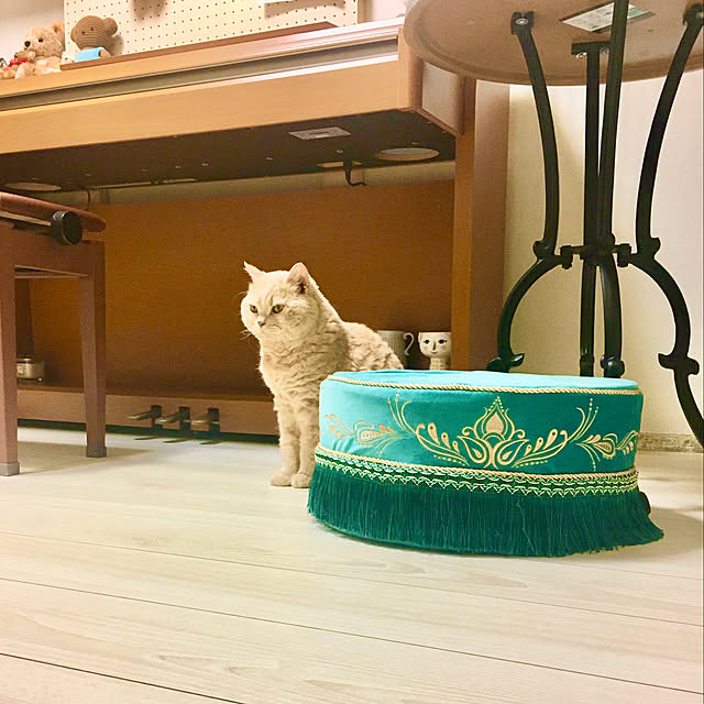 naokoさんの部屋