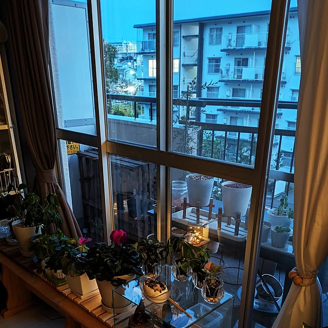 mi-saさんの実例写真