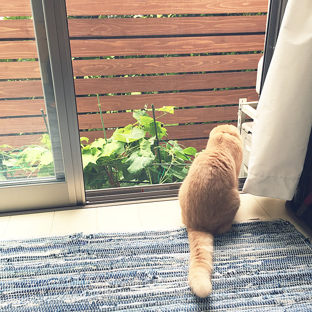 cocoさんの実例写真
