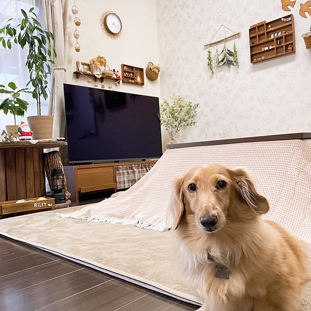 -Riley-mama.-さんの部屋