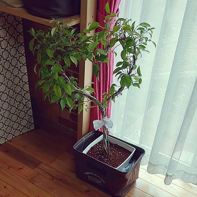 sakiさんの実例写真