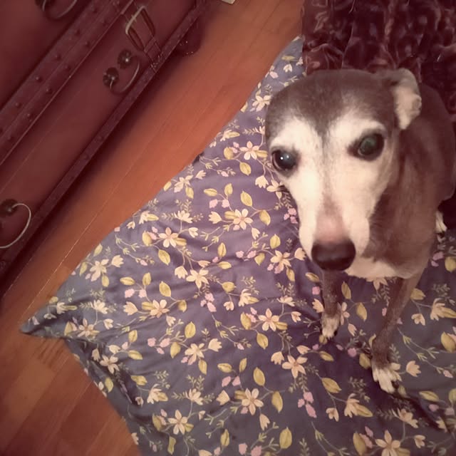 moruさんの部屋