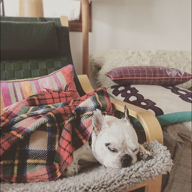 Fumikaさんの実例写真
