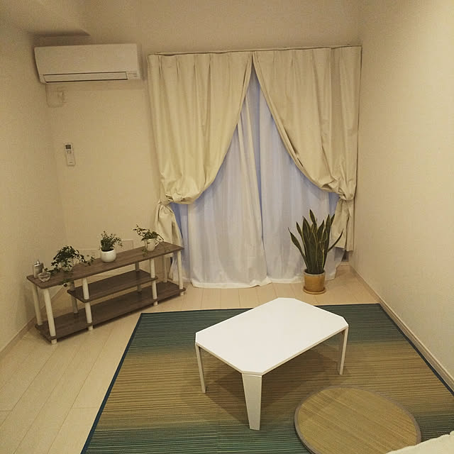 部屋全体/観葉植物/一人暮らし/ニトリのインテリア実例 - 2019-05-20 18:51:55
