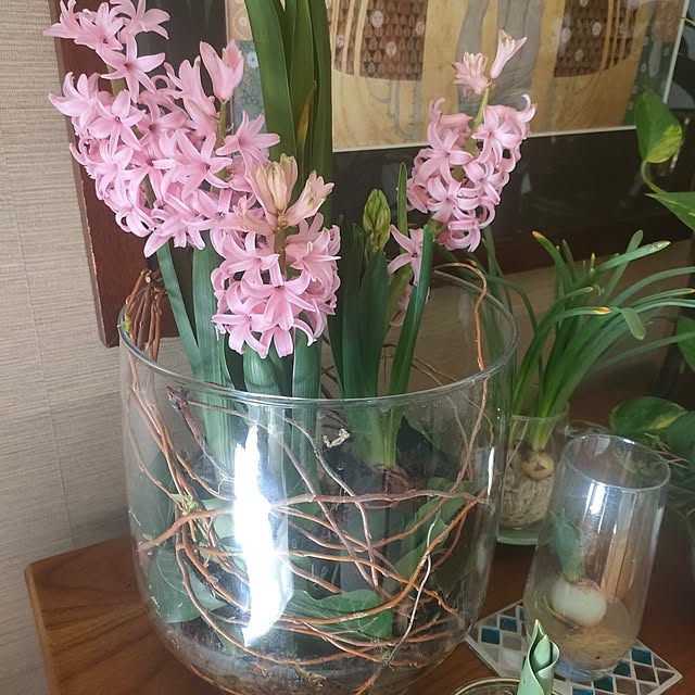 Yoko622さんの実例写真