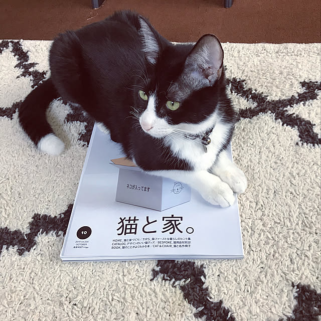 CHACHAさんの実例写真
