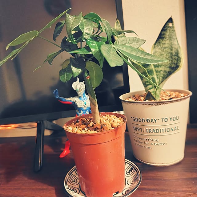 arm2045さんの実例写真