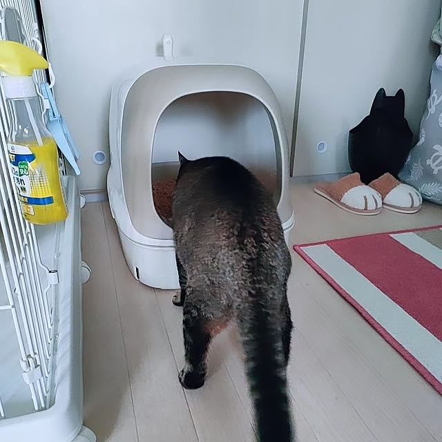 cocomintさんの実例写真