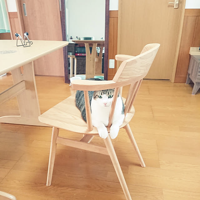 nachiさんの実例写真