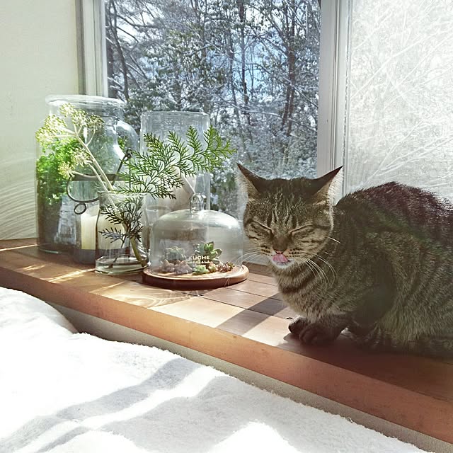 weさんの実例写真