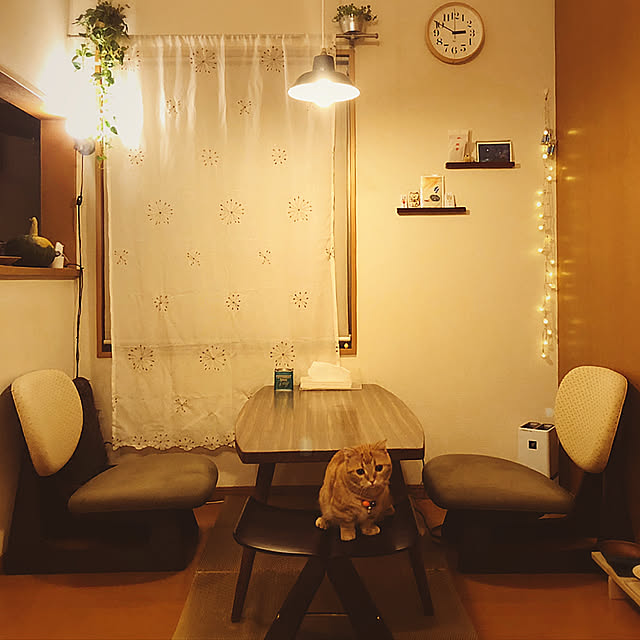 amosさんの実例写真