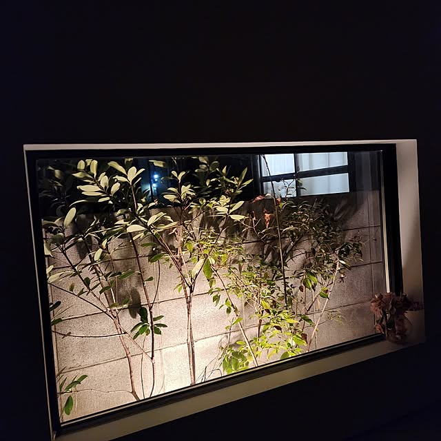 gon_hausさんの部屋
