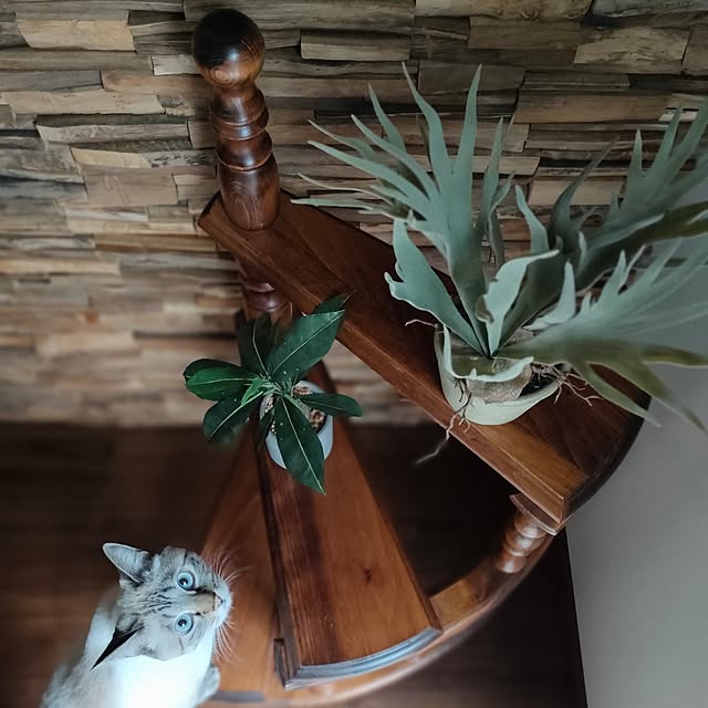 Atelier_tamakiさんの実例写真