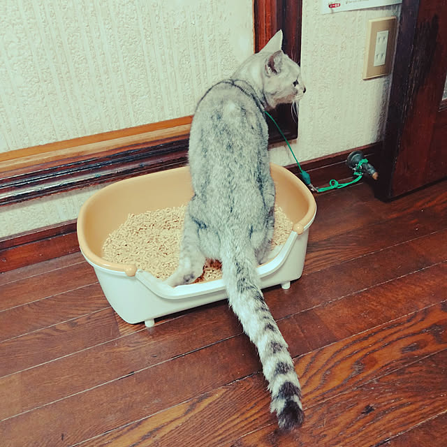 neiroさんの実例写真