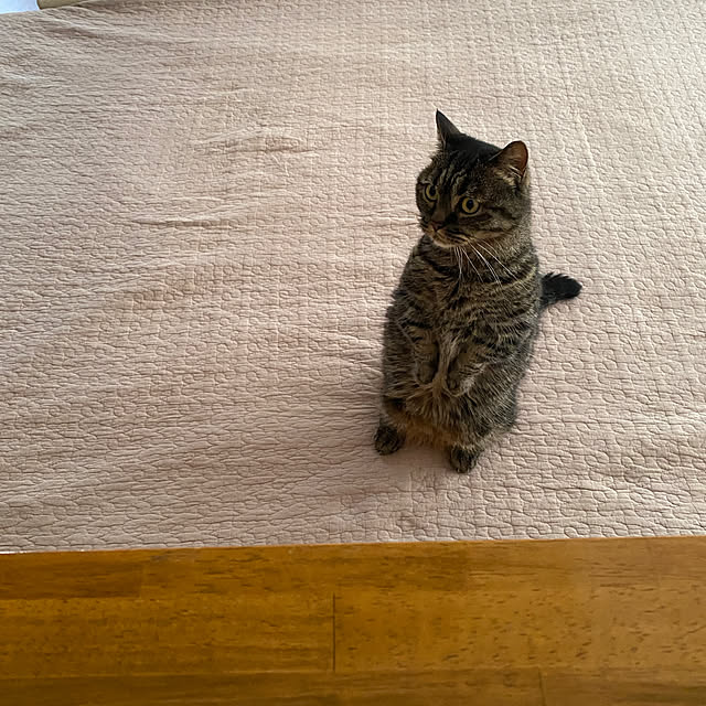 nocomomさんの部屋