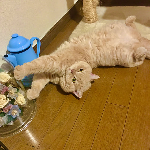naokoさんの部屋