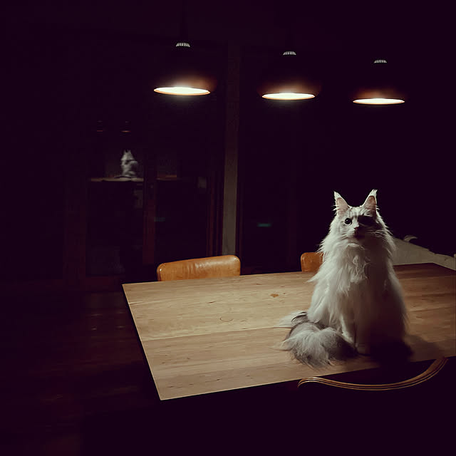 Kikko.さんの実例写真