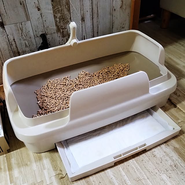 runaさんの部屋