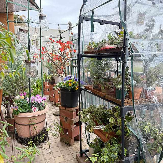 Aqettyさんの実例写真