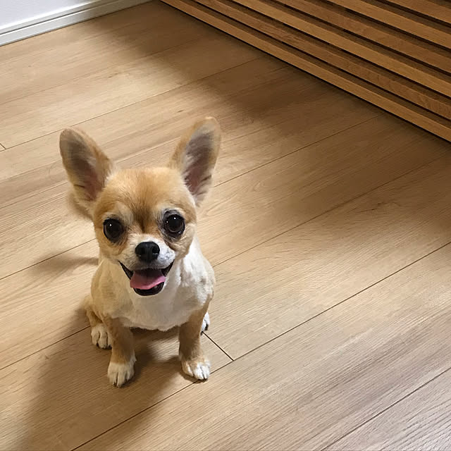 hananokaoriさんの実例写真