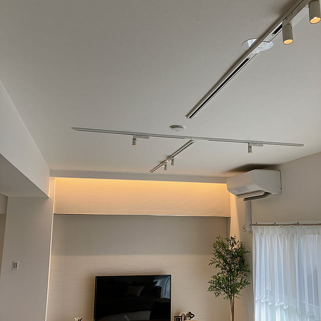 pflanzeさんの部屋