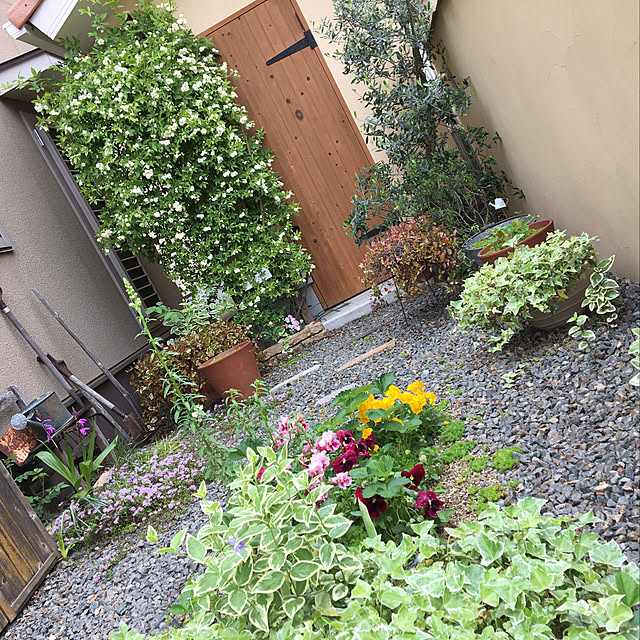 mippoko345さんの実例写真