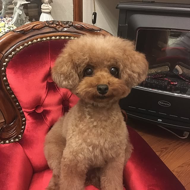 micさんの実例写真