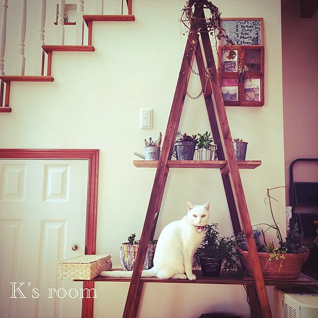 klaroomさんの実例写真