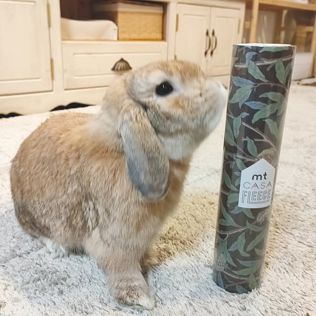 suzuさんの実例写真