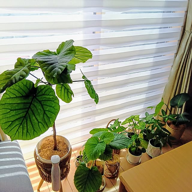 h.t.さんの部屋