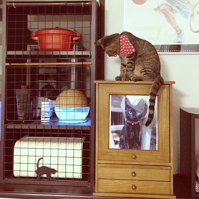 konatsuさんの実例写真