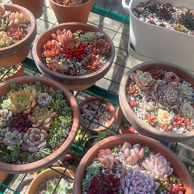 pipiさんの実例写真