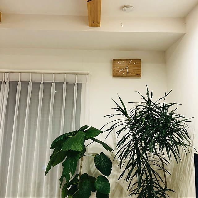 Yamaさんの実例写真