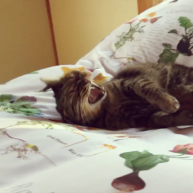 weさんの実例写真