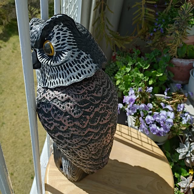 NOAHさんの実例写真