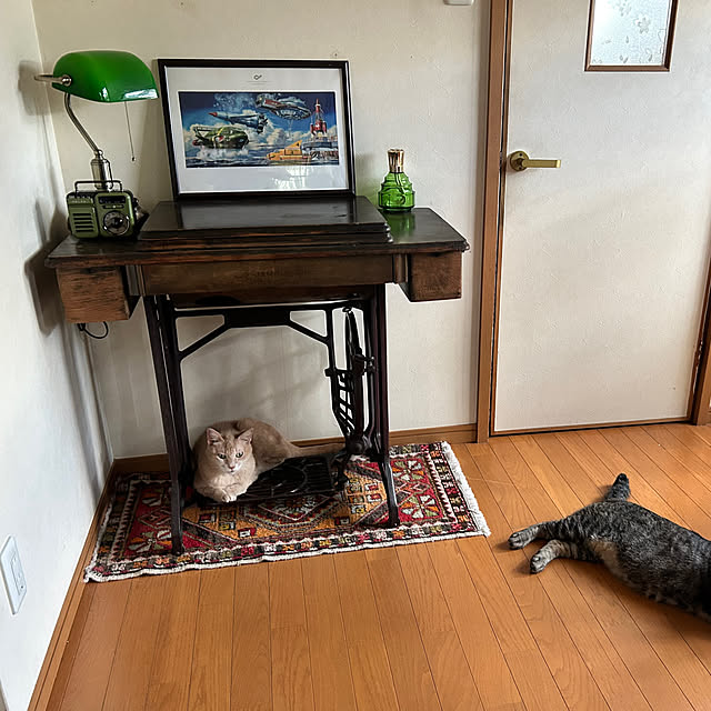 mikan161さんの実例写真