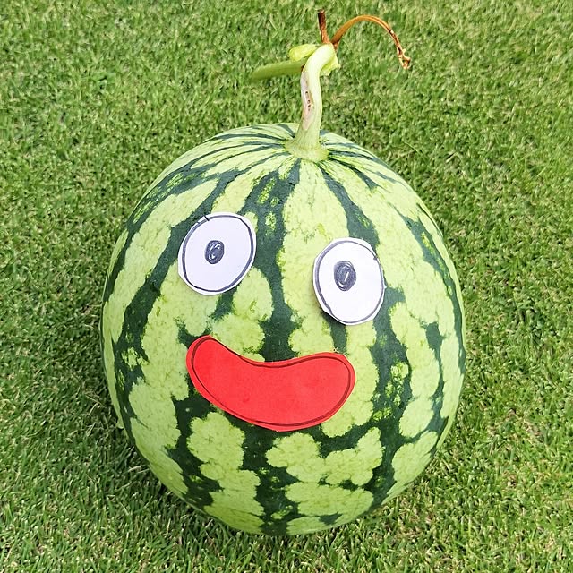 pecoさんの実例写真