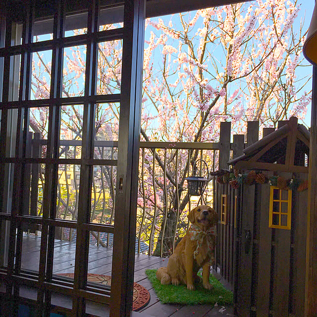 RIERINさんの実例写真