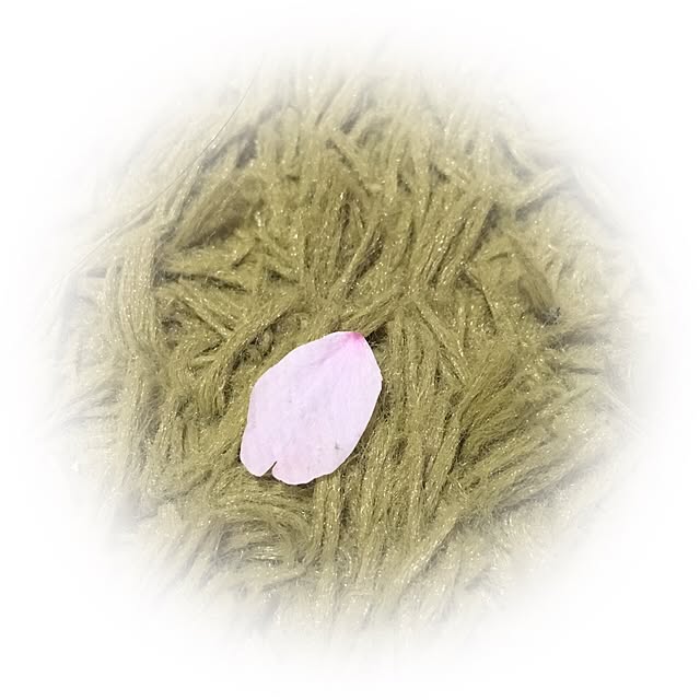 usagi223さんの実例写真