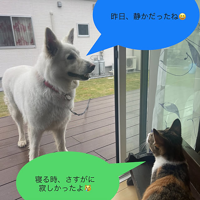 manekinekoさんの実例写真