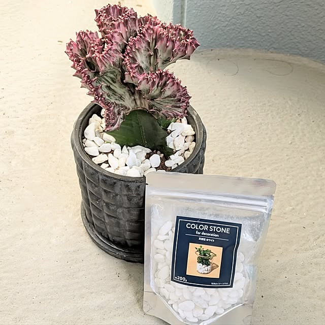 leaf_homeさんの部屋