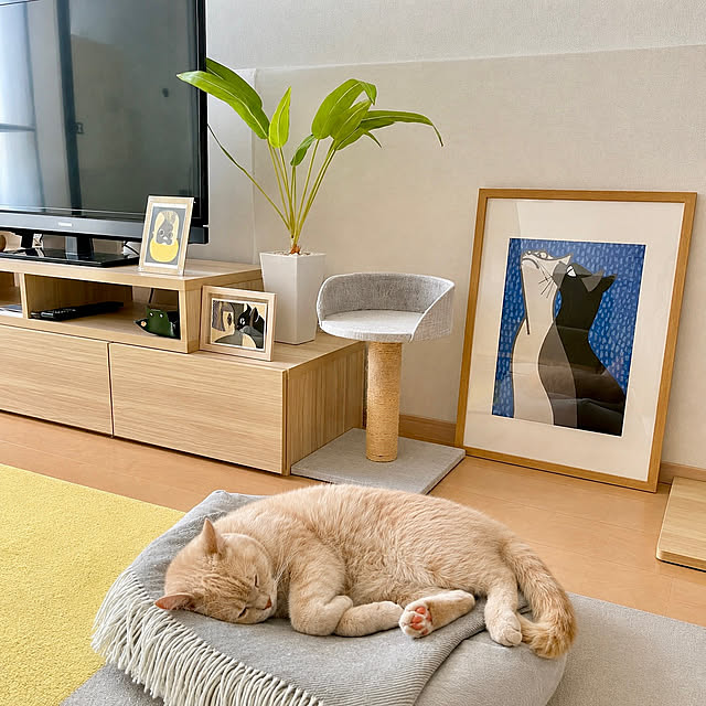 kiyomiさんの部屋