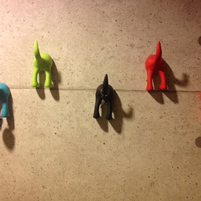 実例写真